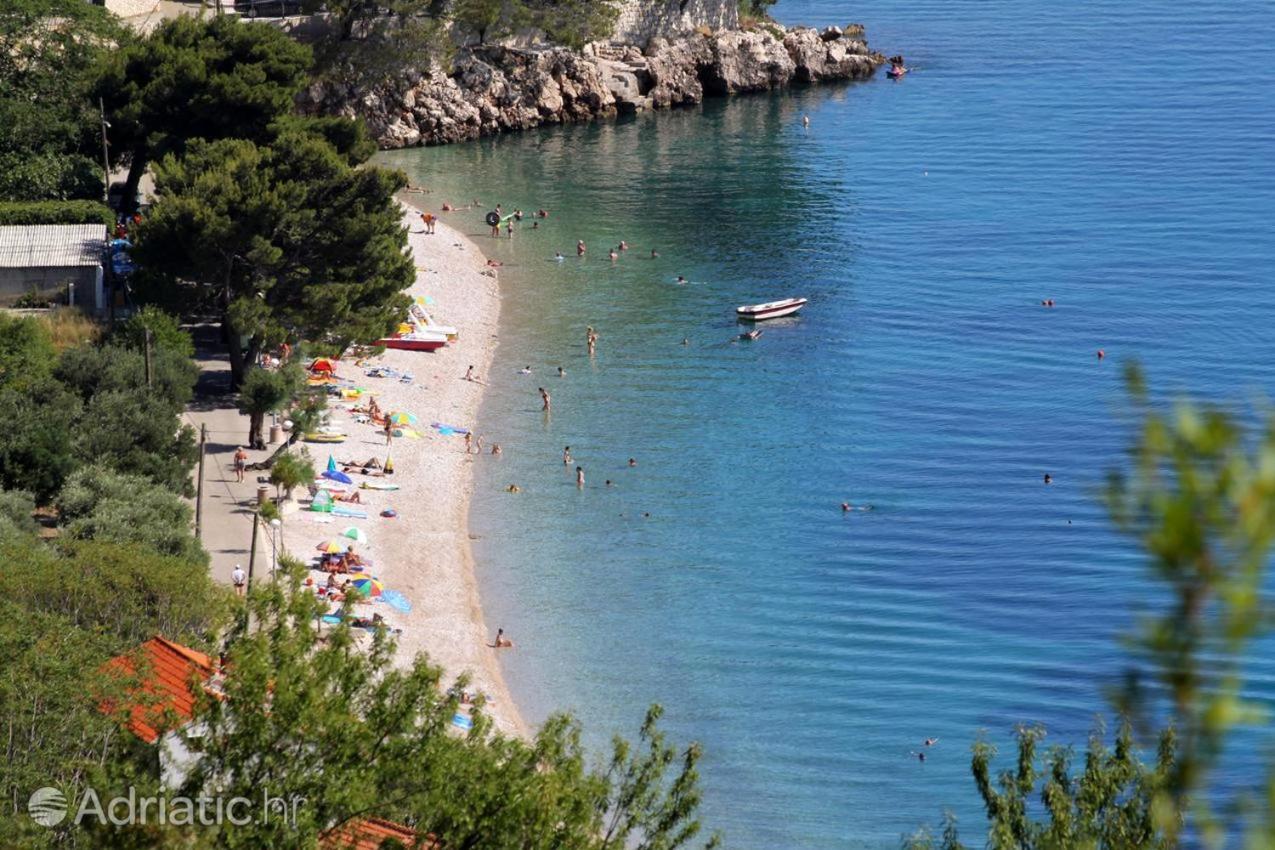 Apartmants Villa Lungo Mare Živogošće Eksteriør bilde