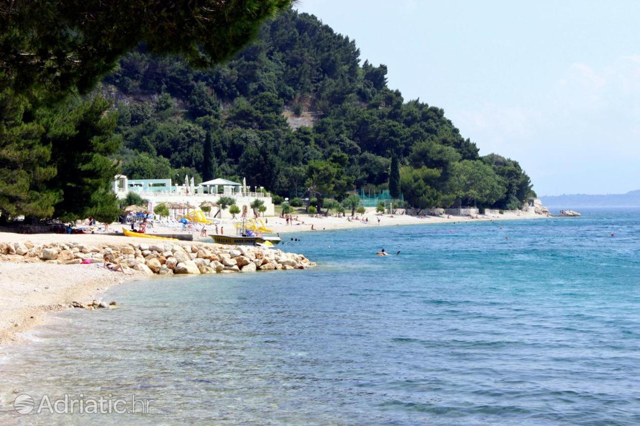 Apartmants Villa Lungo Mare Živogošće Eksteriør bilde